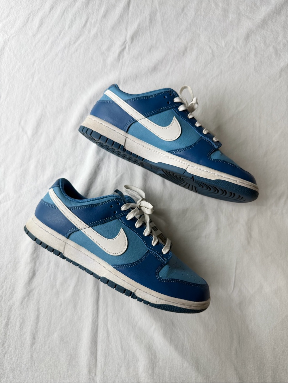 Nike Dunk Blue